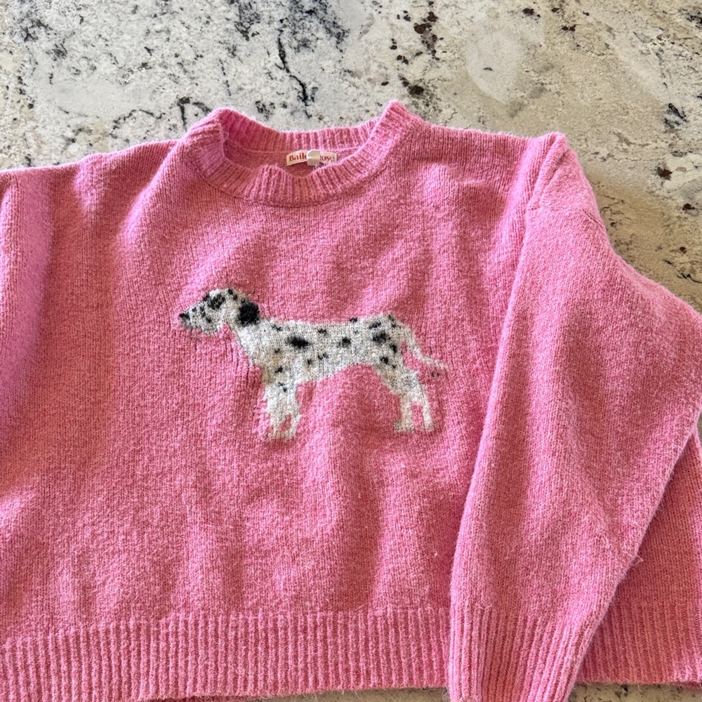 Bailey rose bird dog sweater